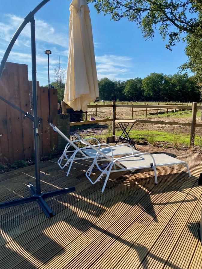 Luxe Finse Kota Met Jacuzzi En Saunabarrel De Zandhoef Эрсел Экстерьер фото
